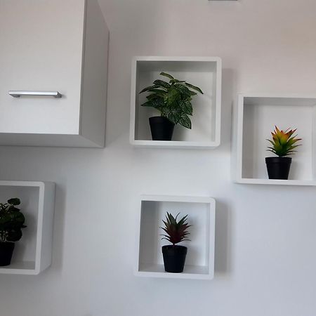 Joli Appartement, Piscine, Jacuzzi Sainte-Suzanne エクステリア 写真
